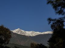 India, hory, Himaláje, Dharmsala