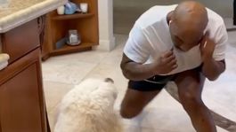 Žiť je pre mňa tažšie ako umrieť, vraví Tyson. Z jeho pohybov vám spadne sánka