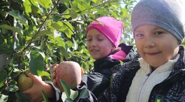 Dobré správy od ovocinára Jakuba