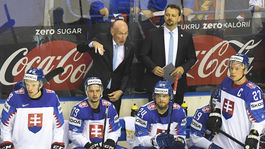 Nagya škrú MS: Tréneri by mali priznať chybu. Pánik div neodišiel domov