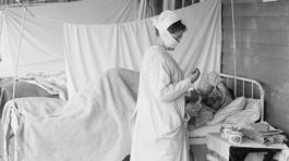 Počas pandémie deti pili víno a jedli husacinu