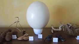 Galéria u vás doma! Hurá za umením