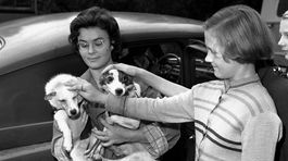 Duša trénerky štvornohých kozmonautov odletela do neba