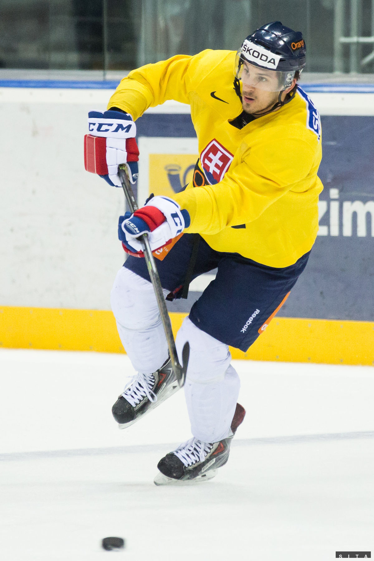 Jediný gól Slovákov strelil v utorok Marek Hrivík.
