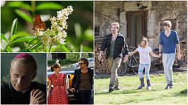 Veľká noc na RTVS: Zaujímavá alternatíva voči komerčnej Markíze a Jojke