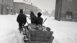 Preskákali sme všeličo, zvládneme aj túto pliagu