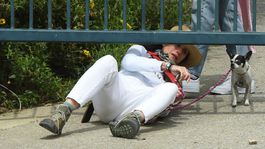 Ups! Andie MacDowell sa váľala po zemi, fotografi boli pri tom! Dôvod šokuje