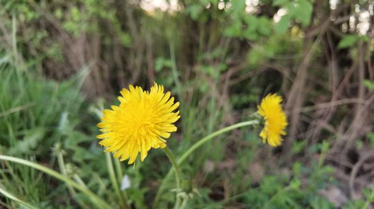 Ostrenie je precízne, objekty nestrácajú...