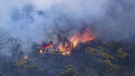 Požiar v Biebrzanskom národnom parku sa podarilo zlikvidovať