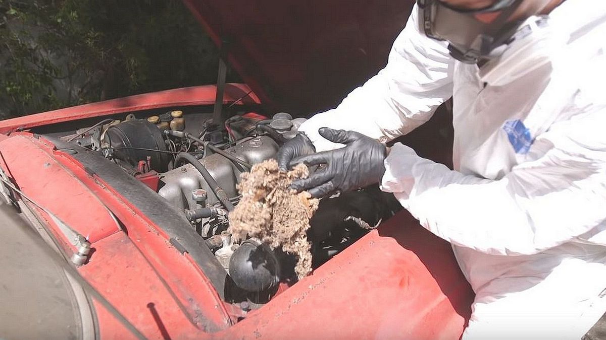 Pod kapotou bola doslova spúšť. No nakoniec sa...