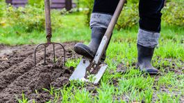 Pandémia povzbudila záhradkárov