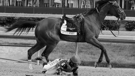 Český šampión zomrel v deň narodenín. O príčine sa vedú polemiky 