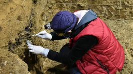 Homo sapiens sa v Európe objavil skôr, ako vedci doteraz predpokladali