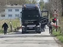 Nórsko - zrážka s vlakom