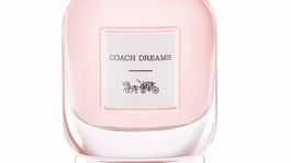 Coach pod názvom Dreams