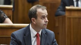 Smer sa konzervatívcov radšej zbaví, Podmanický odchádza sám