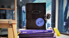 Finalisti a finalistky ceny René - Anasoft litera gymnazistov sú známi