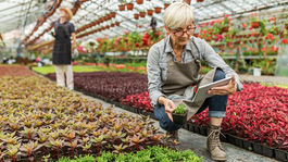 Kedy pracujúci dôchodca nemusí platiť odvody