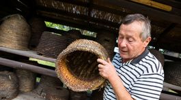 Včela nie je iba tá jedna, medonosná