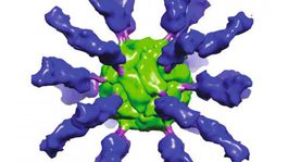 Stopercentná účinnosť! Českí parazitológovia otestovali vakcínu proti lymskej borelióze