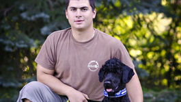 Pes nepatrí do striedavej starostlivosti