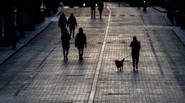 Počet prípadov týraných zvierat za posledných deväť rokov stúpol