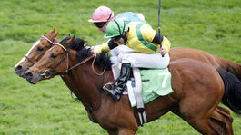 Briti povolili návrat k profišportu. V Premier League bez pozitívneho prípadu