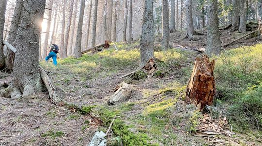 Zonácia TANAP-u poškodí vzácnu dolinu, tvrdí My sme les. Správa: Ešte rokujeme
