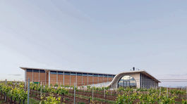 Betónová vlna v moravských viniciach ponúkne víno aj kultúru