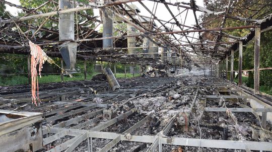 Pri požiari liahne v Nitre uhynulo viac ako 6-tisíc kusov hydiny