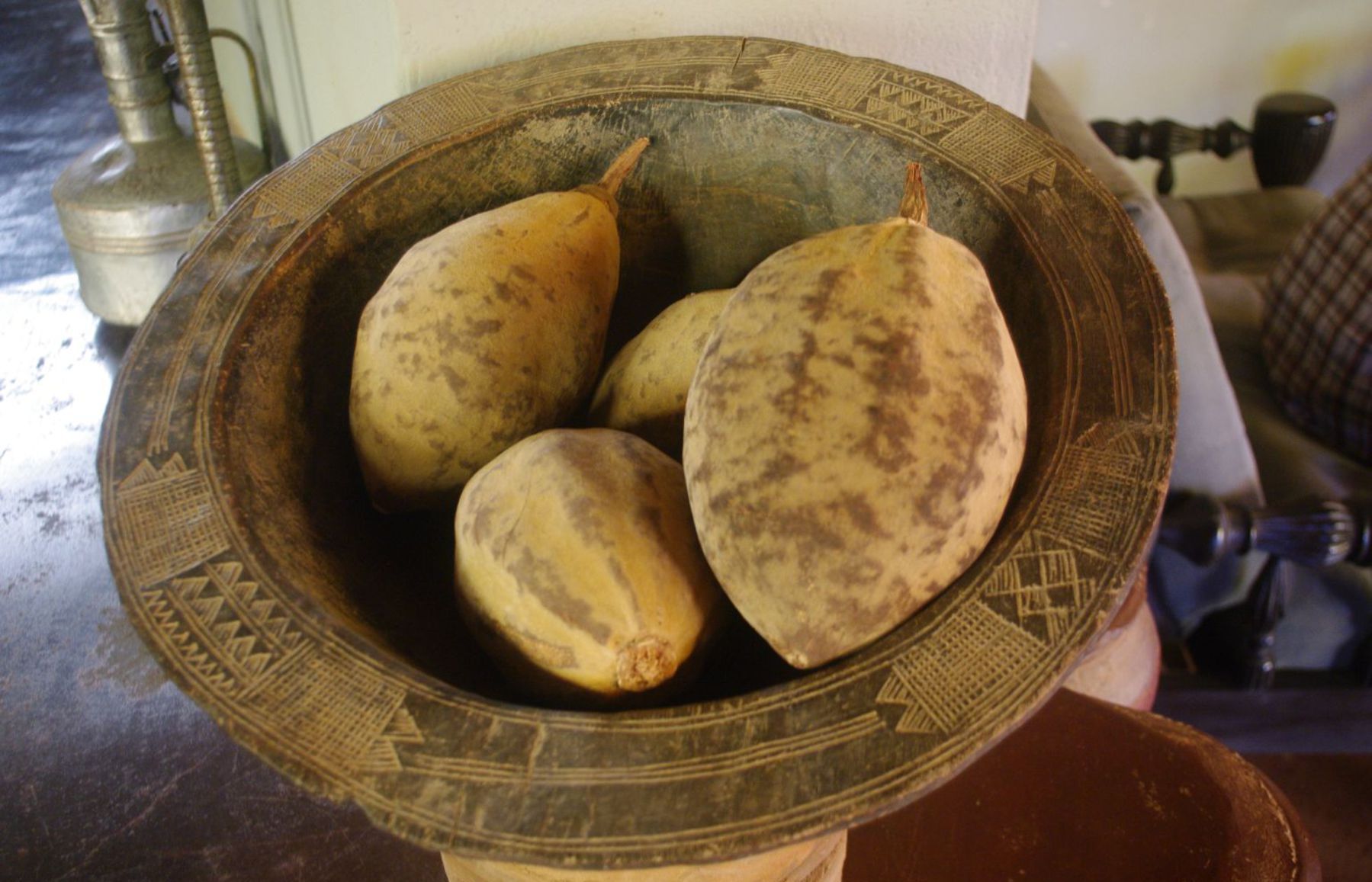 Plody sudánskehoo baobabu.