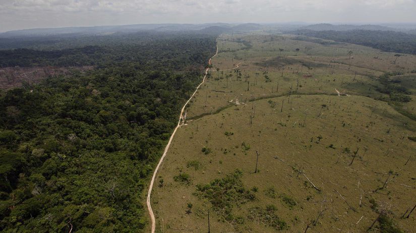 Brazília prales Amazonský odlesňovanie nárast