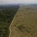 Brazília prales Amazonský odlesňovanie nárast