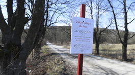 Africký mor ošípaných sa šíri, zistili ho u diviakov v okrese Prešov 