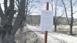 Africký mor na území Košíc je európskou raritou