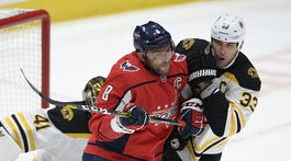 Boston bude Cháru na miniturnaji šetriť, Halákovi sa núka šanca