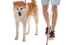 ŤZP: Aké budú nové sumy opakovaných príspevkov?