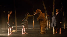 Pastierska symfónia pod hviezdami