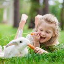 dieťa, zajac, králik, kŕmenie, mrkva, zábava
