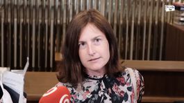 Kontrola aj sponzoring kultúry. Ministerka Milanová predstavila plán