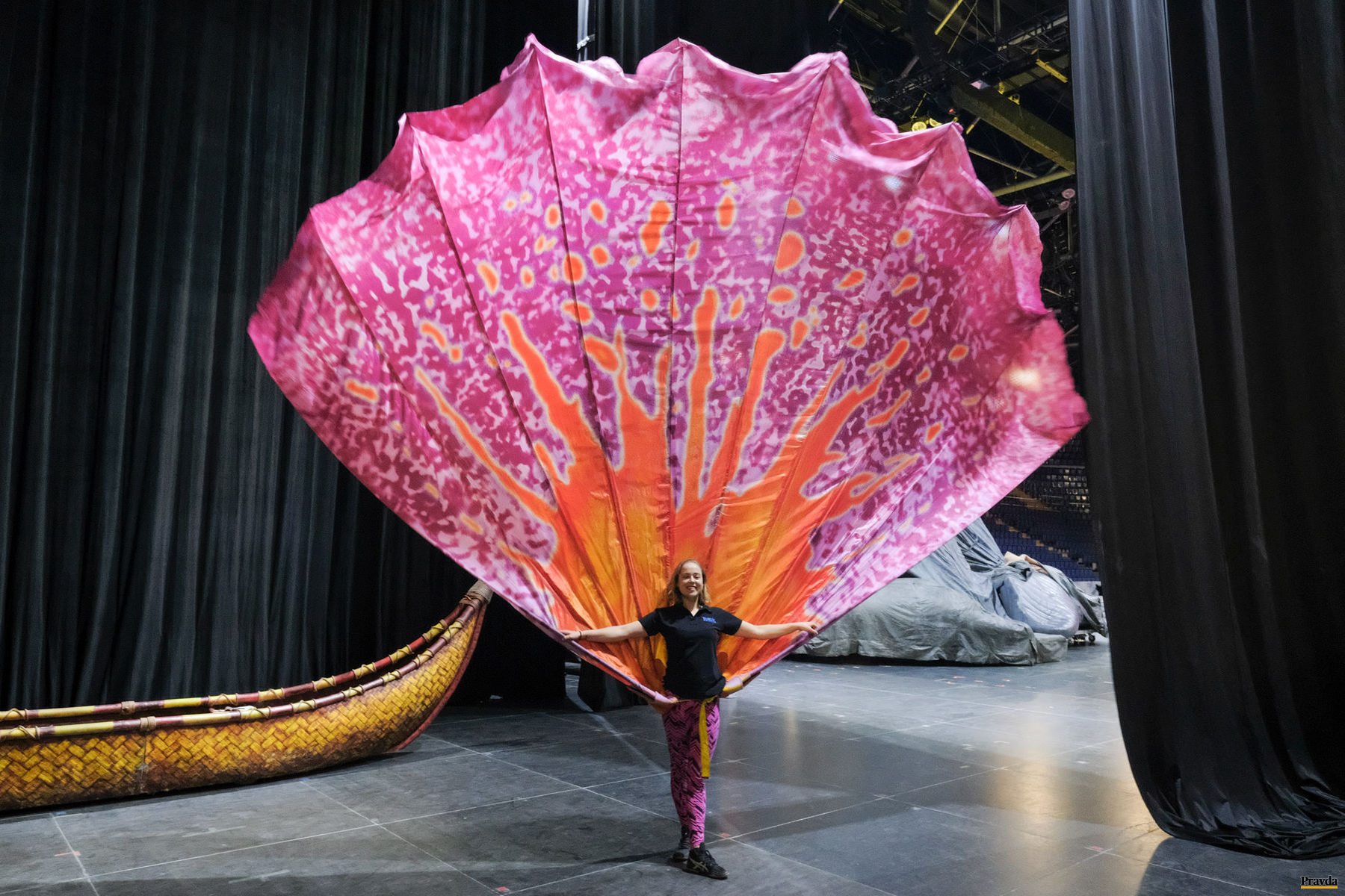 Cirque du Soleil, pred predstavením