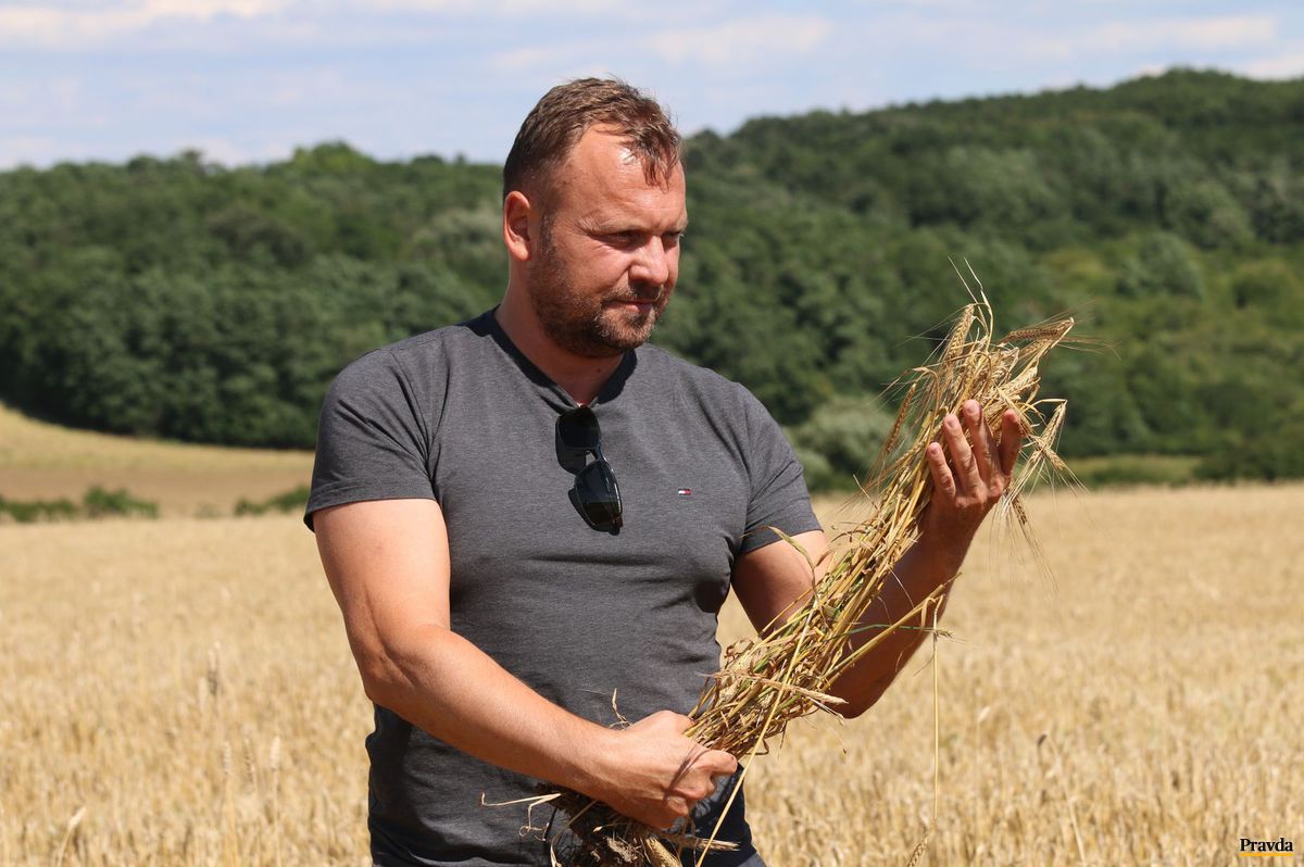 Maroš Gombár neváhal riskovať a začal pestovať...
