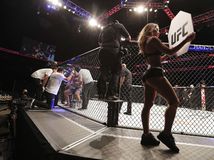 UFC, ilustračná