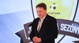 Desaťčlenná liga by nám viac pasovala, tvrdí jej šéf