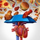 srdce, cholesterol, fastfood, jedlo, dáždnik