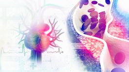 Zdravé srdce: Držte si hladinu cholesterolu pod kontrolou