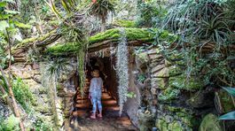 V pražskom skleníku nájdete aj kvet v tvare klitorisu