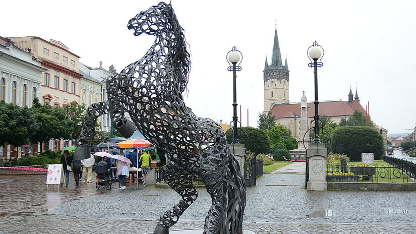 Prešov, kôň, konare