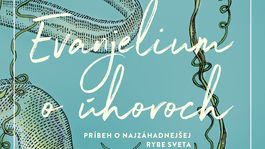 Tip Kataríny Sedlákovej: Krásne podivné čítanie