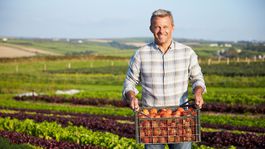 Nájom pôdy od štátu už nie je lacný